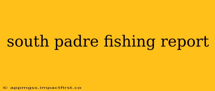 south padre fishing report