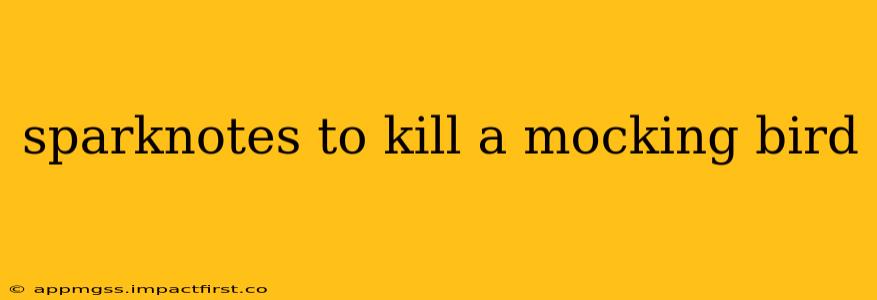 sparknotes to kill a mocking bird