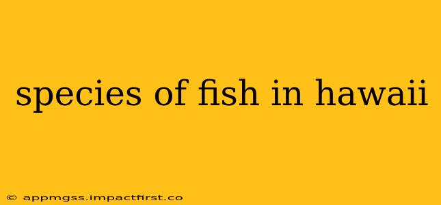 species of fish in hawaii