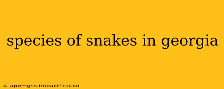species of snakes in georgia