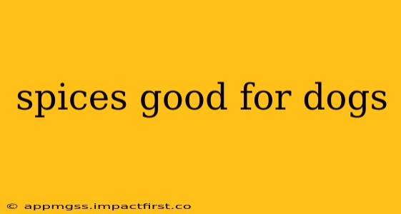 spices good for dogs