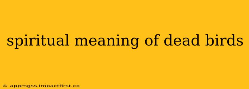 spiritual meaning of dead birds