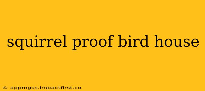squirrel proof bird house