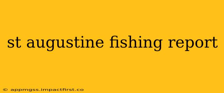 st augustine fishing report