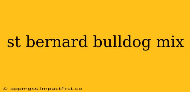 st bernard bulldog mix