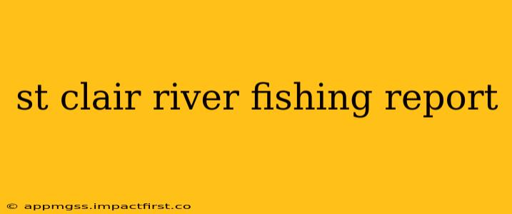 st clair river fishing report