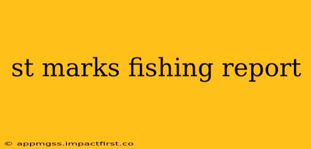 st marks fishing report