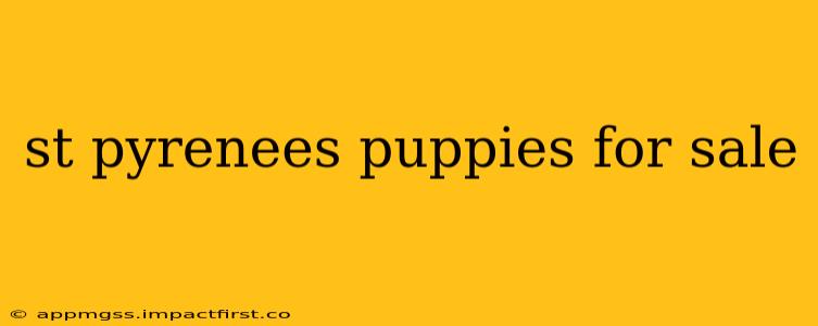 st pyrenees puppies for sale