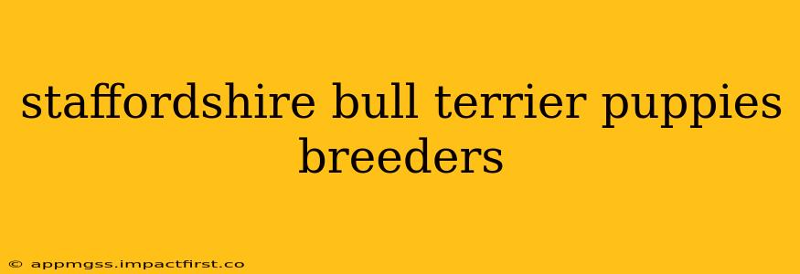 staffordshire bull terrier puppies breeders