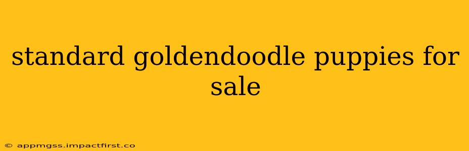 standard goldendoodle puppies for sale