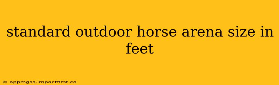 standard outdoor horse arena size in feet