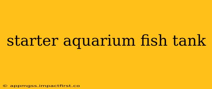 starter aquarium fish tank