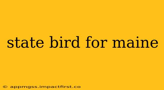 state bird for maine