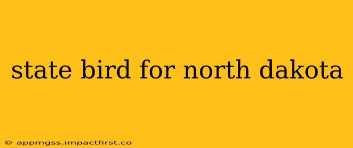 state bird for north dakota