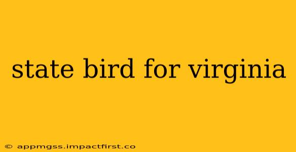 state bird for virginia