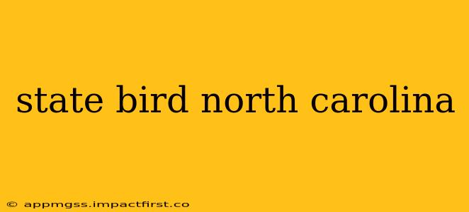 state bird north carolina