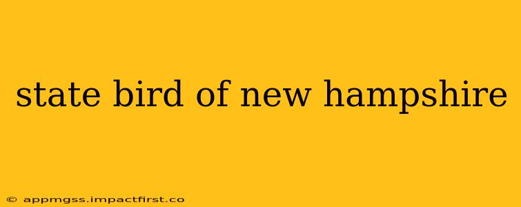 state bird of new hampshire