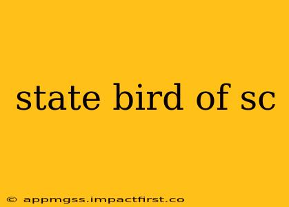 state bird of sc