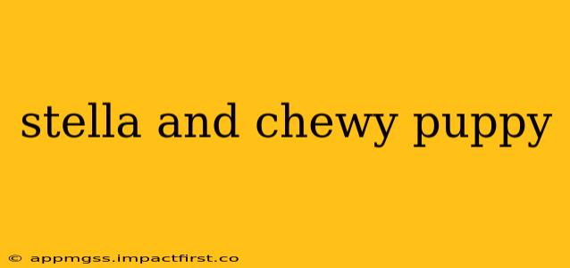 stella and chewy puppy