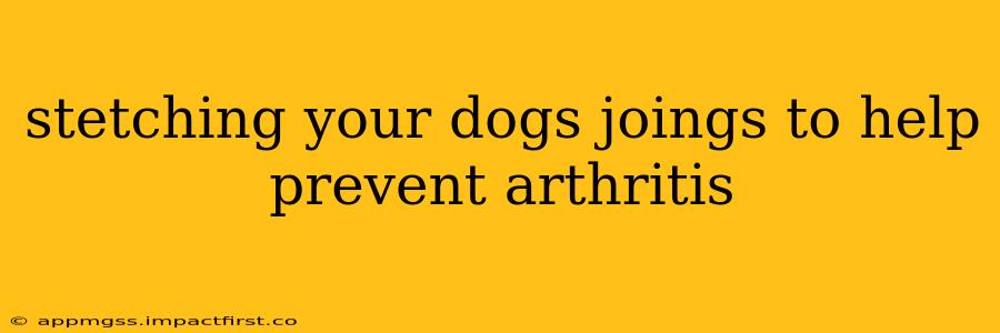 stetching your dogs joings to help prevent arthritis
