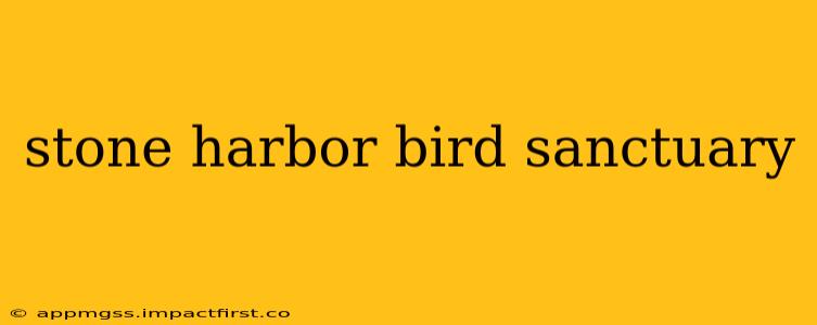 stone harbor bird sanctuary
