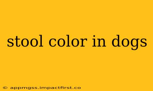 stool color in dogs