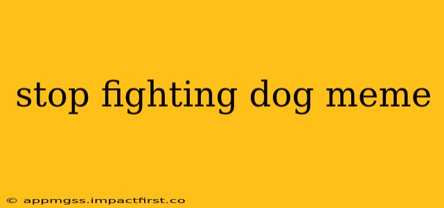 stop fighting dog meme