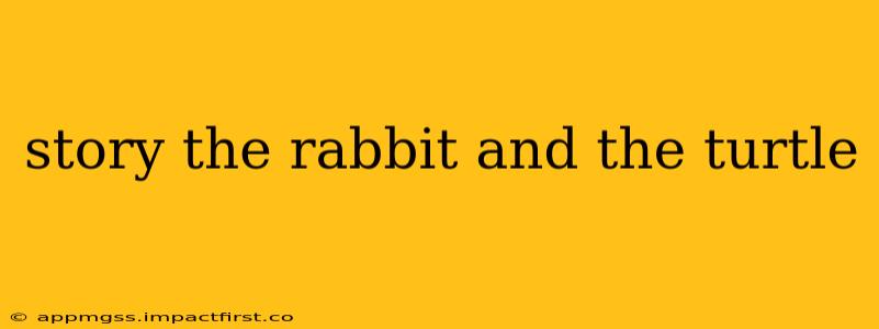 story the rabbit and the turtle