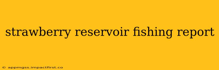 strawberry reservoir fishing report