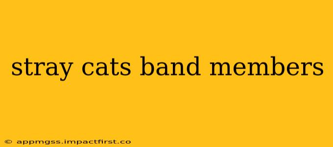 stray cats band members