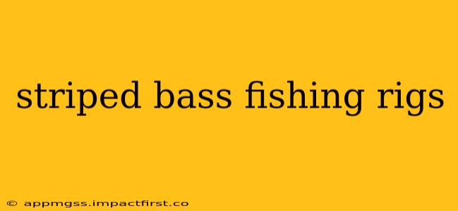 striped bass fishing rigs