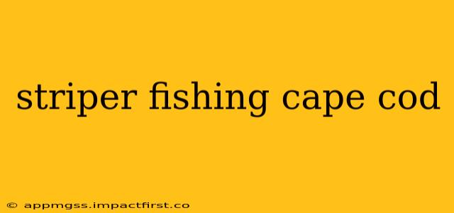 striper fishing cape cod