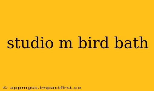 studio m bird bath