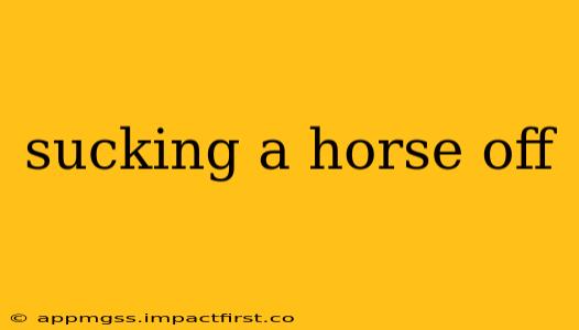 sucking a horse off