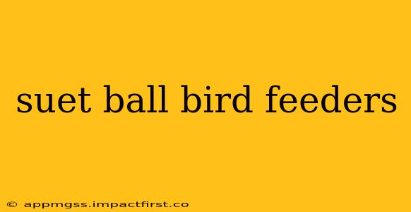 suet ball bird feeders