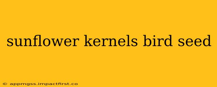 sunflower kernels bird seed