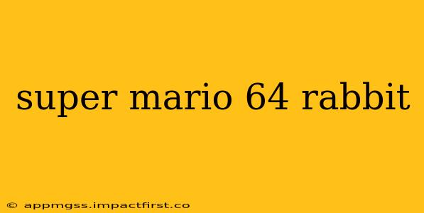 super mario 64 rabbit