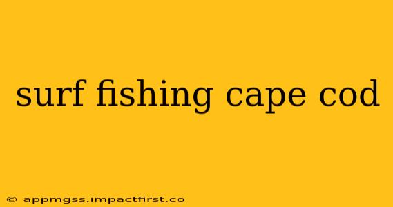 surf fishing cape cod