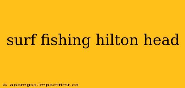 surf fishing hilton head