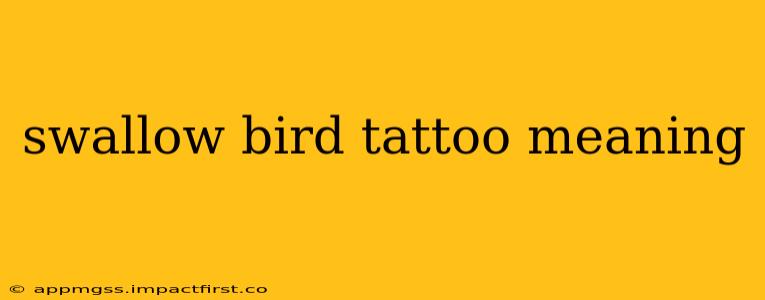 swallow bird tattoo meaning