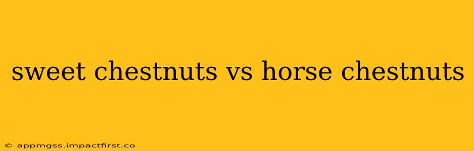 sweet chestnuts vs horse chestnuts