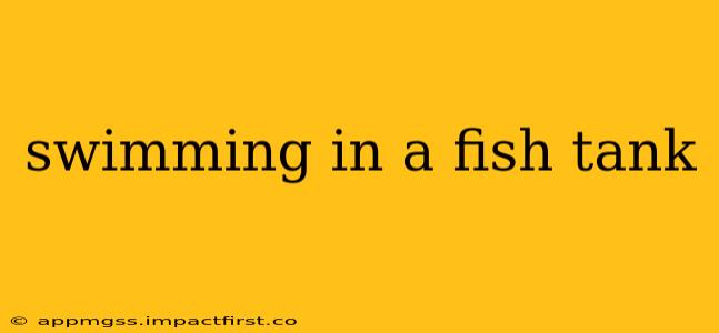 swimming in a fish tank