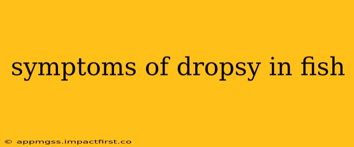 symptoms of dropsy in fish