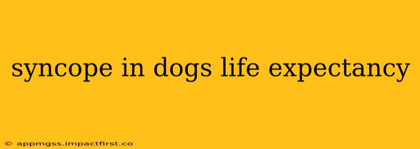 syncope in dogs life expectancy