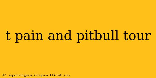 t pain and pitbull tour