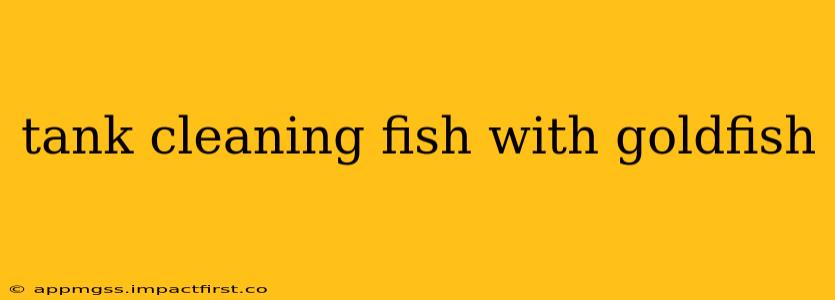 tank cleaning fish with goldfish