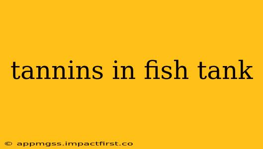 tannins in fish tank