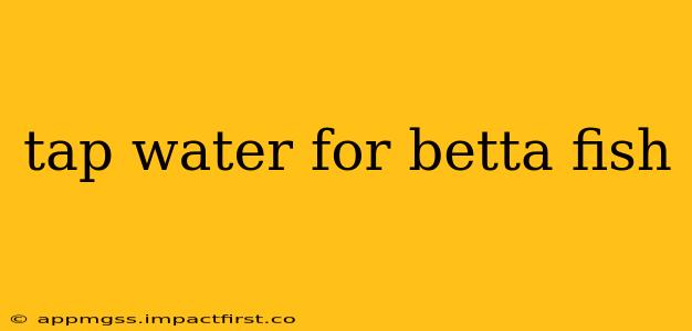 tap water for betta fish