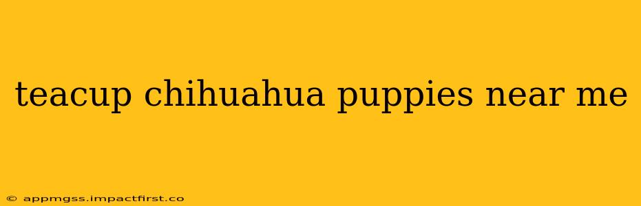 teacup chihuahua puppies near me