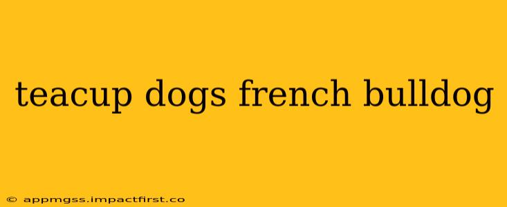 teacup dogs french bulldog